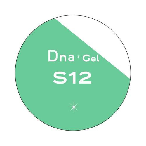 Dna Gel カラージェル 2.5g S12 カプリ
