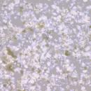 ピカエース エフェクトフレーク(液晶フィルム) 418 パープルL
