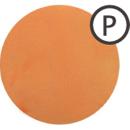 Prunelle カラーパウダー 3g シトラスオレンジ PCW010