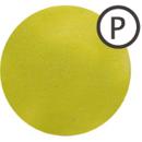 Prunelle カラーパウダー 3g グリーンティー PCW012
