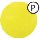 Prunelle カラーパウダー 3g キウイグリーン PCW013