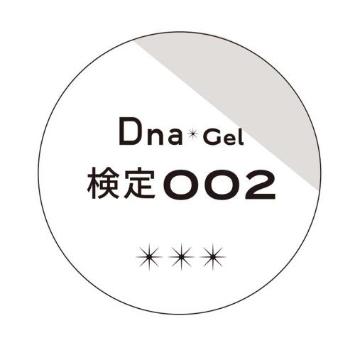 Dna Gel カラージェル 2.5g 検定002 ダブルホワイト
