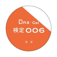 Dna Gel カラージェル 2.5g 検定006 オレンジ