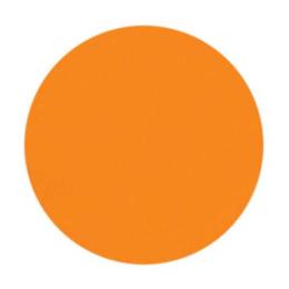 フルーリア カラーパウダー 4g オレンジ OR-M