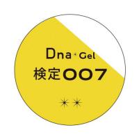 Dna Gel カラージェル 2.5g 検定007 イエロー
