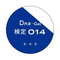 Dna Gel カラージェル 2.5g 検定014 ブルー