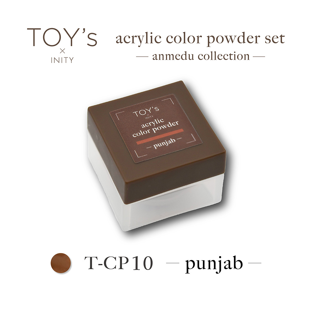 TOY's×INITY アクリルカラーパウダー 7g パンジャブ T-CP10
